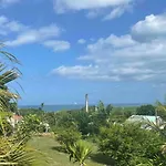 Bel Appartement T2 Avec Vue Sur Palmier Et Mer