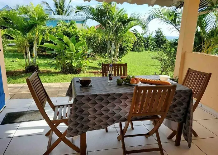 Bel Appartement T2 Avec Vue Sur Palmier Et Mer