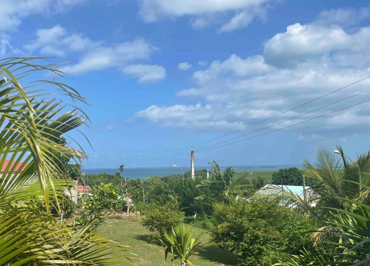 Bel T2 Avec Vue Sur Palmier Et * Sainte-Rose